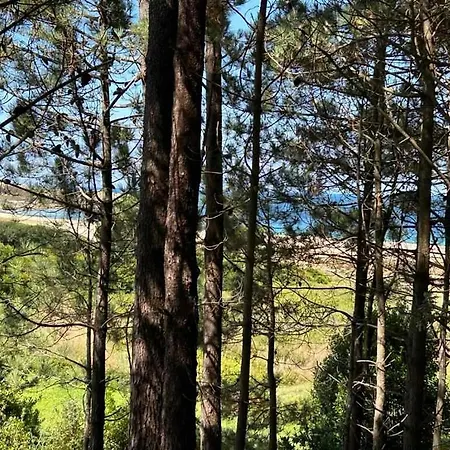 Apartamento Mar De Queiruga: 12 Nadelas *